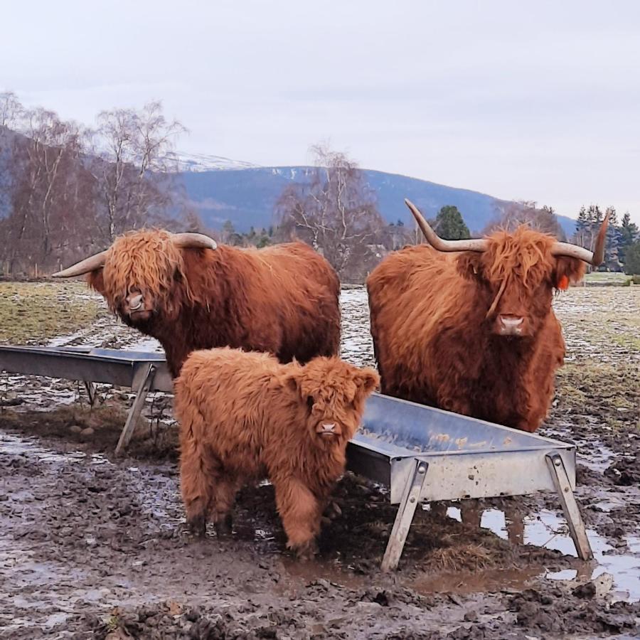 No 45, Ballater Esterno foto